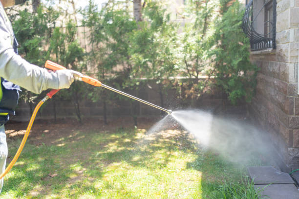 Pest Control for Restaurants in Lacoste, TX